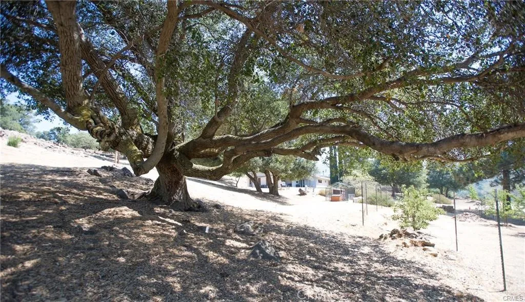 12145 Twin Springs Road, Descanso, California 91916 home-pic-13