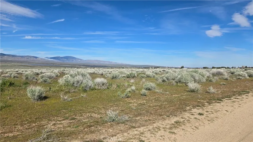 0 Ave C Vicinity 264th St W, Fairmont, California 93536