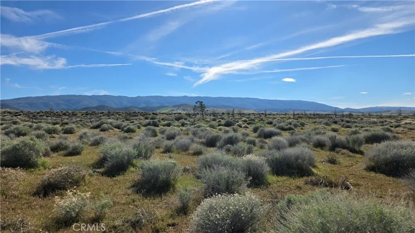 0 Ave C Vicinity 264th St W, Fairmont, California 93536