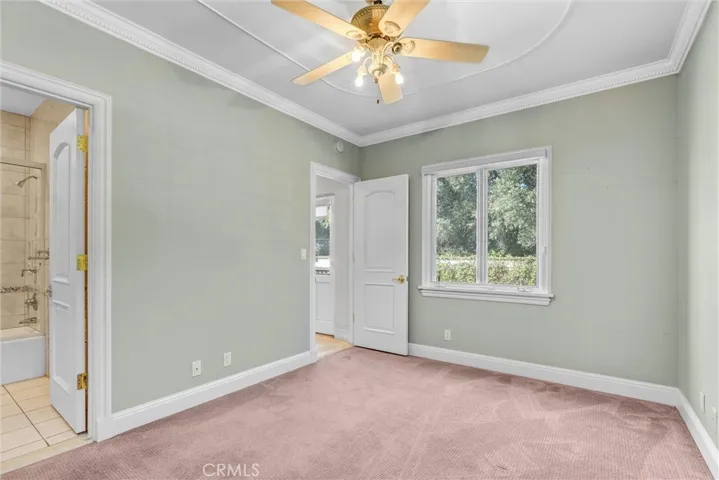 Ground Level Suite