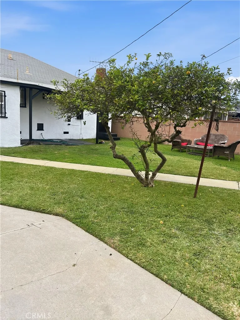 3834 West Blvd, Los Angeles, California 90008 home-pic-24