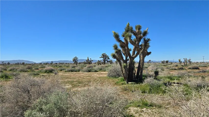 0 Palmdale Blvd & 75th St East, Palmdale, California 93553