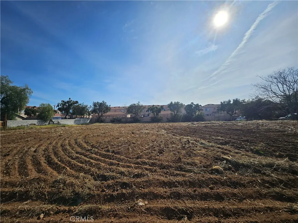 24208 Dracaea, Moreno Valley, California 92553 — photo 4