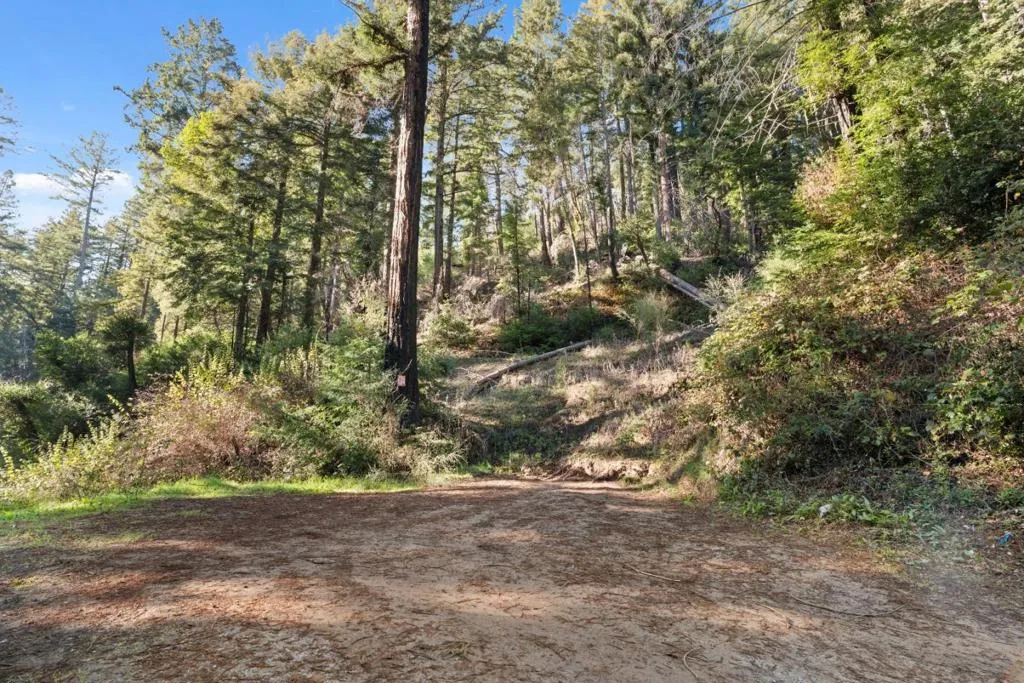 160 Starview Place, Boulder Creek, California 95006 — photo 4
