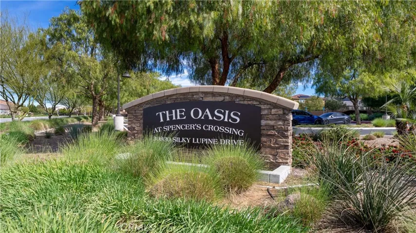 The Oasis