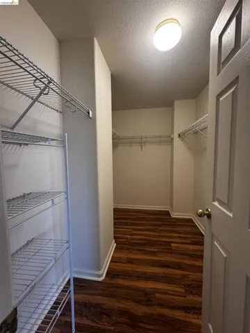 Walk in closet featuring dark wood-style floors