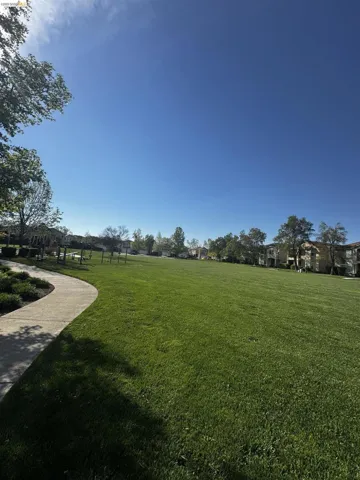 View of green lawn