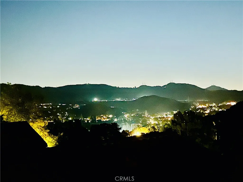 the city lights