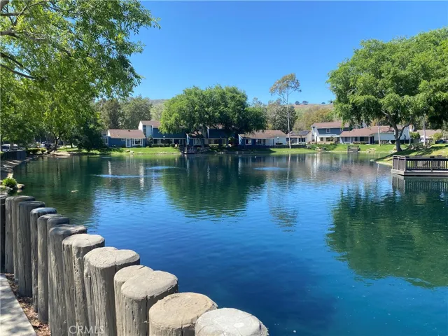 29371 Pinewood, San Juan Capistrano, California 92675