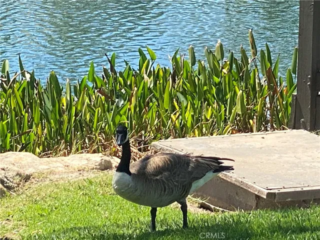 Nature abounds at the Village San Juan community