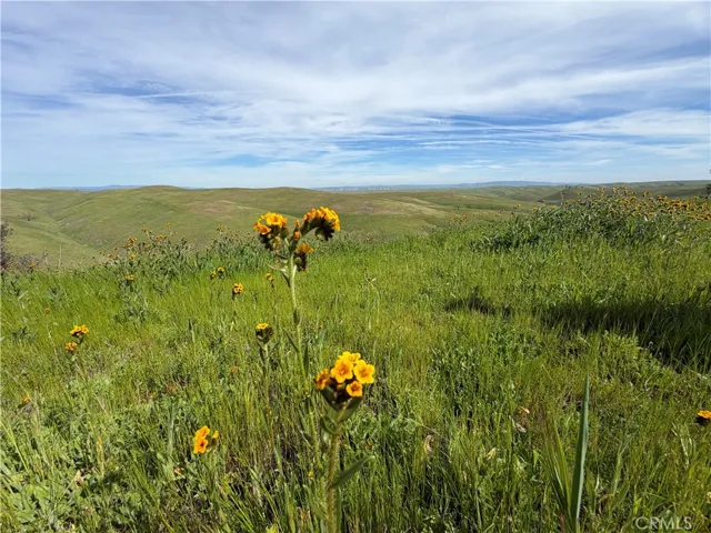 3150 Sunburst, Paso Robles, California 93446