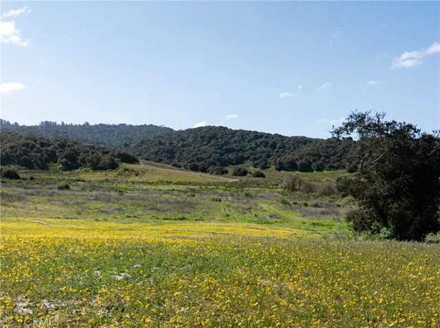 View Of Rolling Orcutt Hills