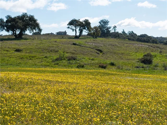 View Of Rolling Orcutt Hills