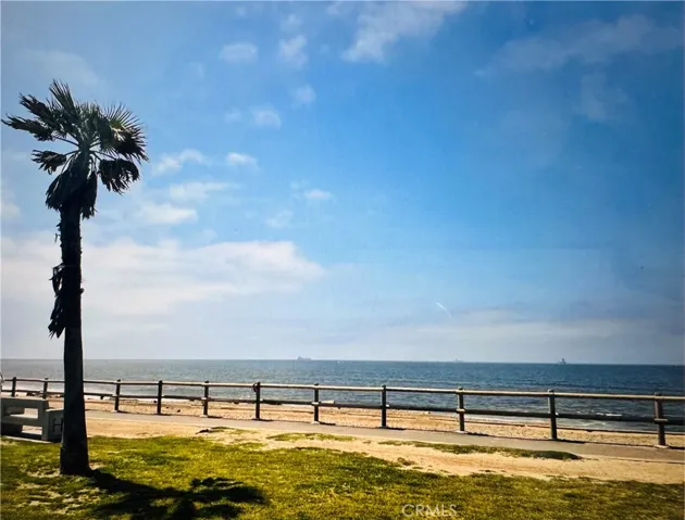 Bike Path & Dog Beach