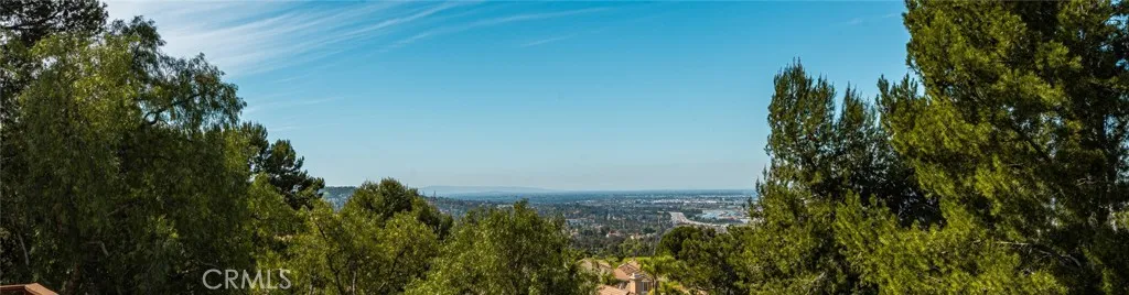 993 S Dylan Way, Anaheim Hills, California 92808 home-pic-39