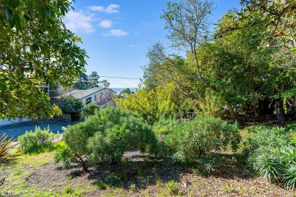 679 Orlando, Cambria, California 93428 home-pic-63