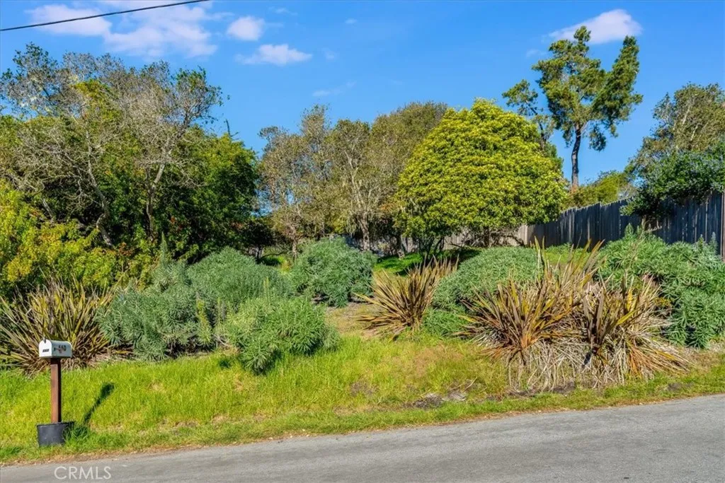 679 Orlando, Cambria, California 93428 home-pic-64