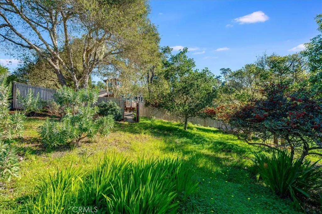 679 Orlando, Cambria, California 93428 home-pic-62