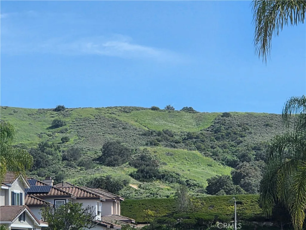 10 Moccasin, Trabuco Canyon, California 92679 home-pic-24