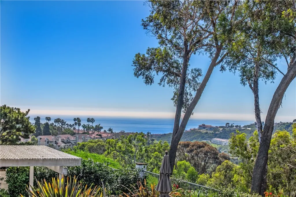 51 Hancock, Laguna Niguel, California 92677 home-pic-30