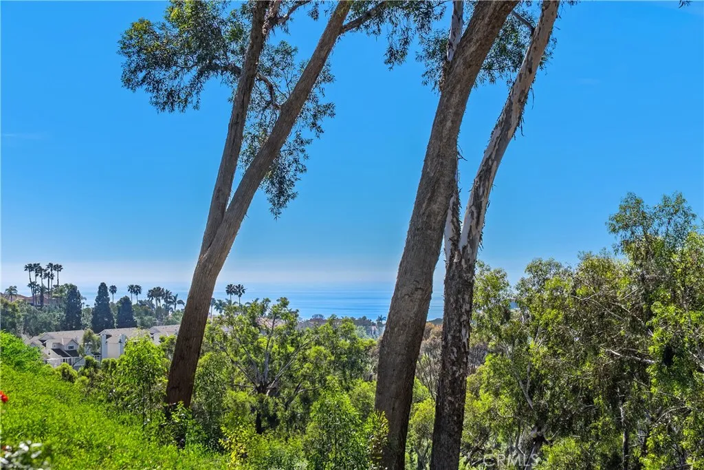 51 Hancock, Laguna Niguel, California 92677 home-pic-42