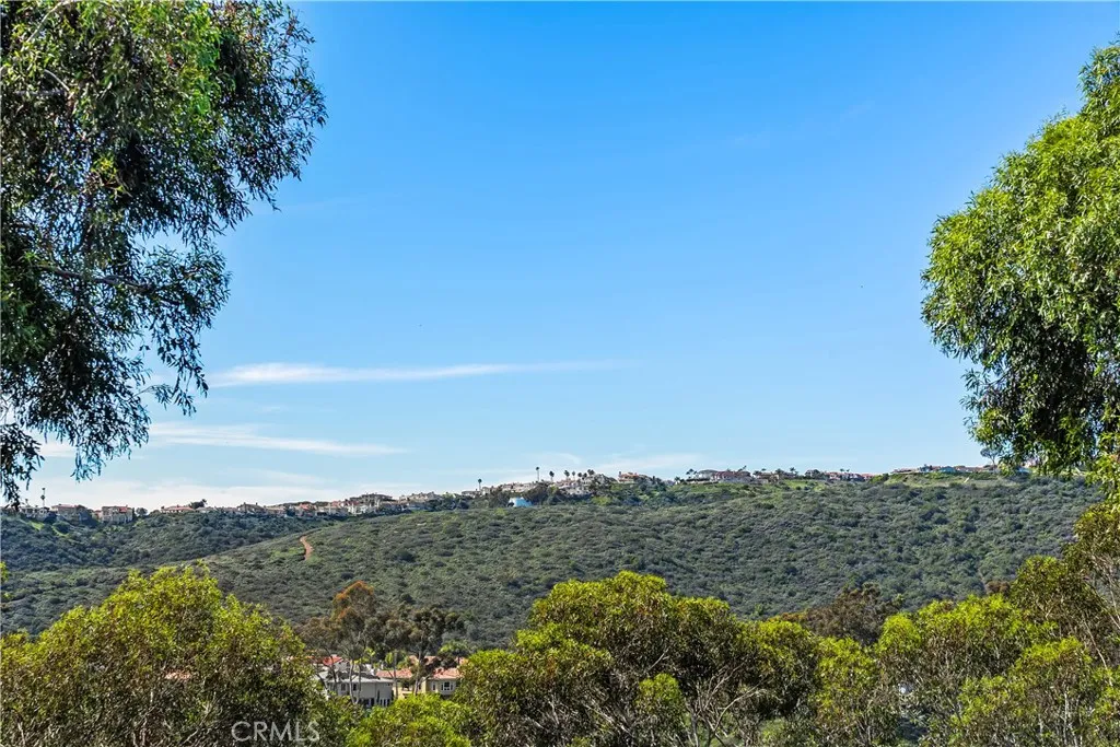 51 Hancock, Laguna Niguel, California 92677 home-pic-31