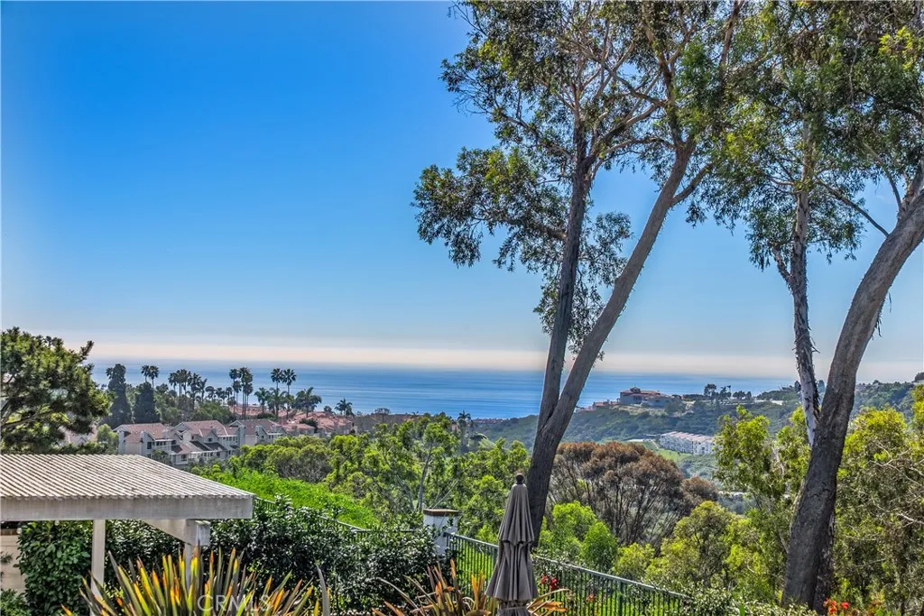 51 Hancock, Laguna Niguel, California 92677 home-pic-4