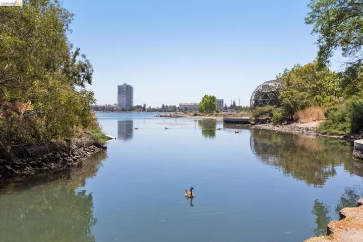 565 565 Bellevue Ave 806, Oakland, California 94610