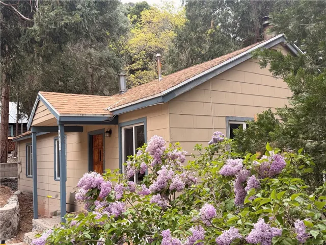 Stop and smell the Lilacs