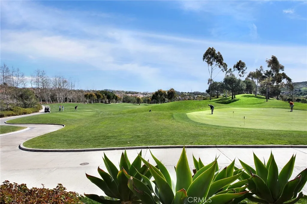35 Calle Careyes, San Clemente, California 92673 home-pic-72