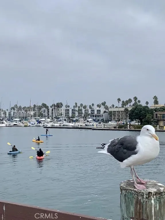 Kayaking