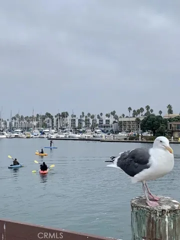 Kayaking