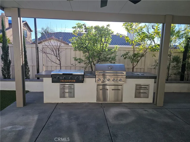 Backyard BBQ Area