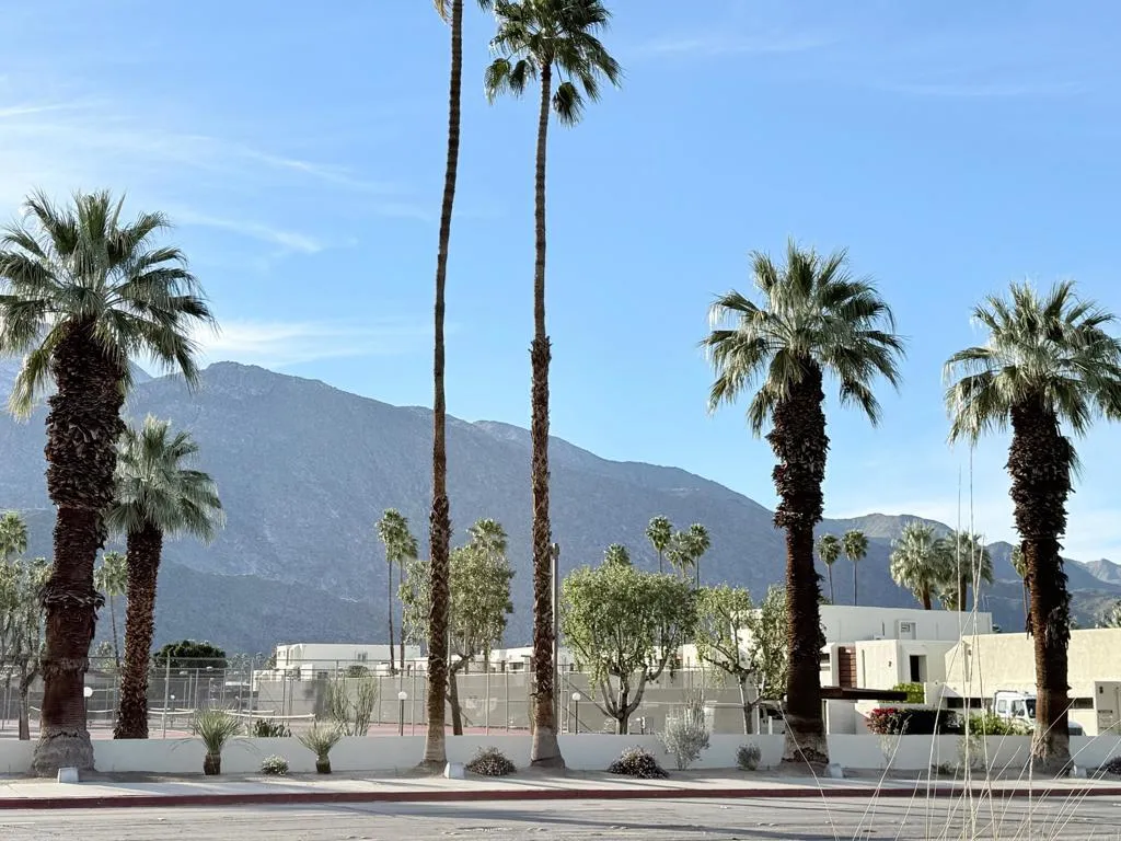 1655 E Palm Canyon Drive 618, Palm Springs, California 92264 home-pic-13