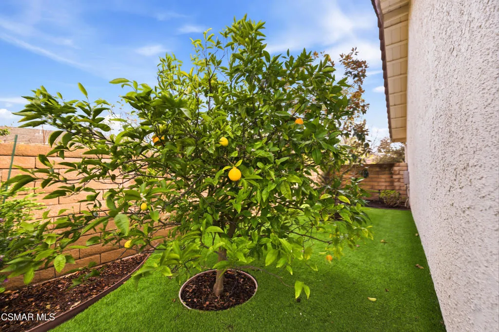 3883 Calle Buena Vista, Newbury Park, California 91320 home-pic-35