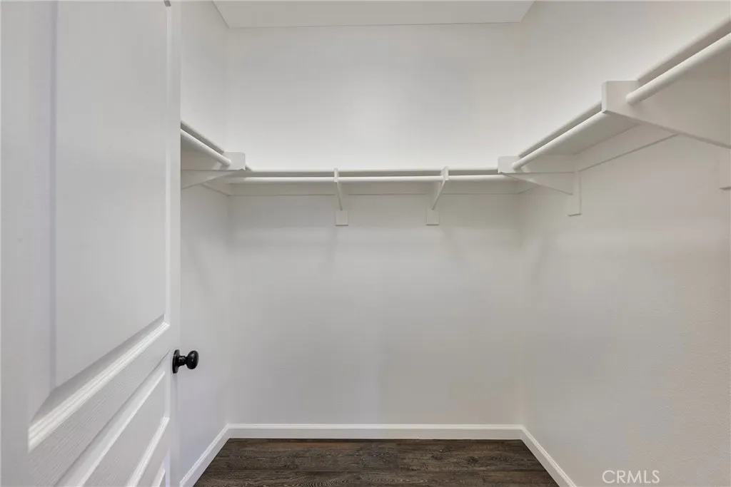 Primary Suite Walk-in Closet #2