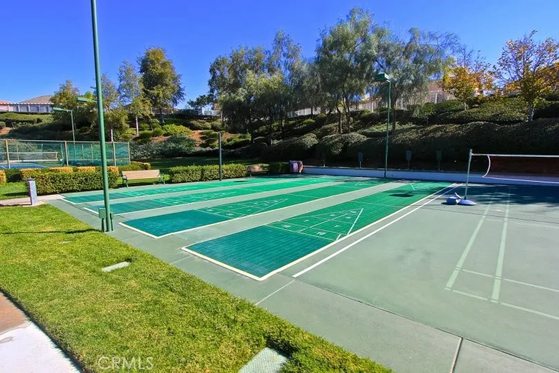 Shuffle Boards & Badminton