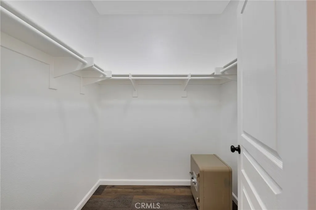 Primary Suite Walk-in Closet #1