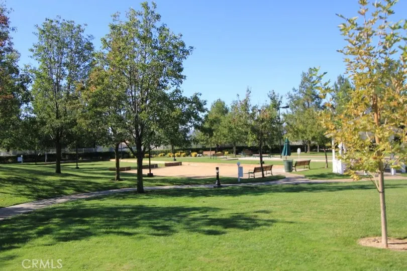 Bocce Ball