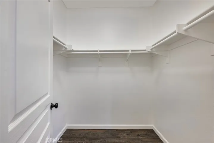 Primary Suite Walk-in Closet #2