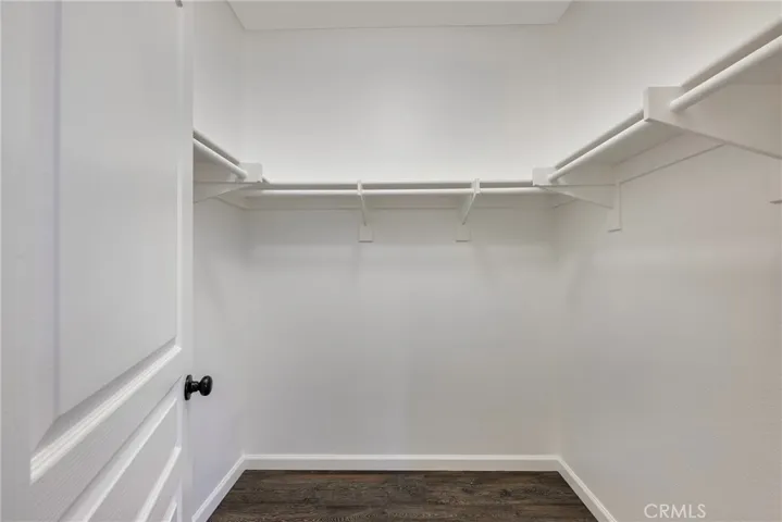 Primary Suite Walk-in Closet #2