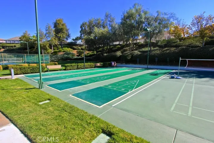 Shuffle Boards & Badminton