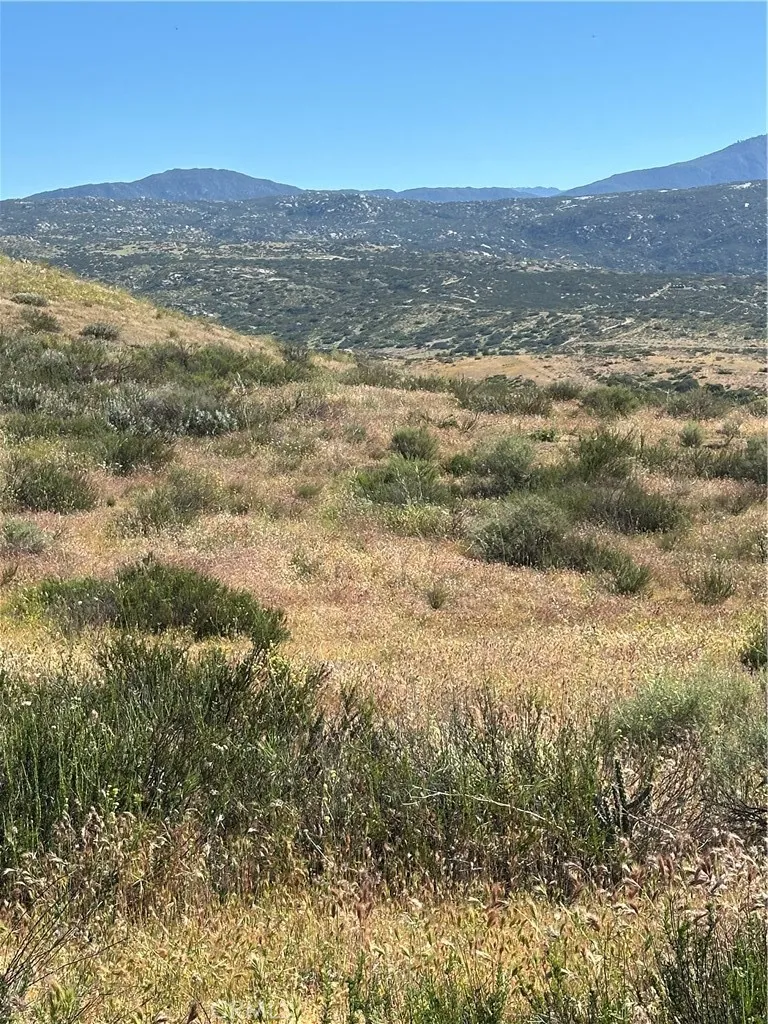 View from parcel.