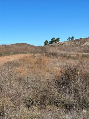 View of parcel.