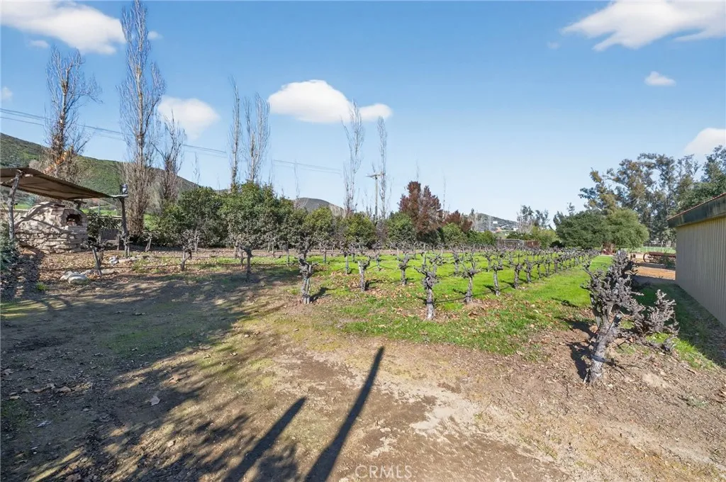31420 Palm Avenue, Hemet, California 92543 home-pic-40
