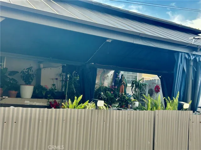 Back patio