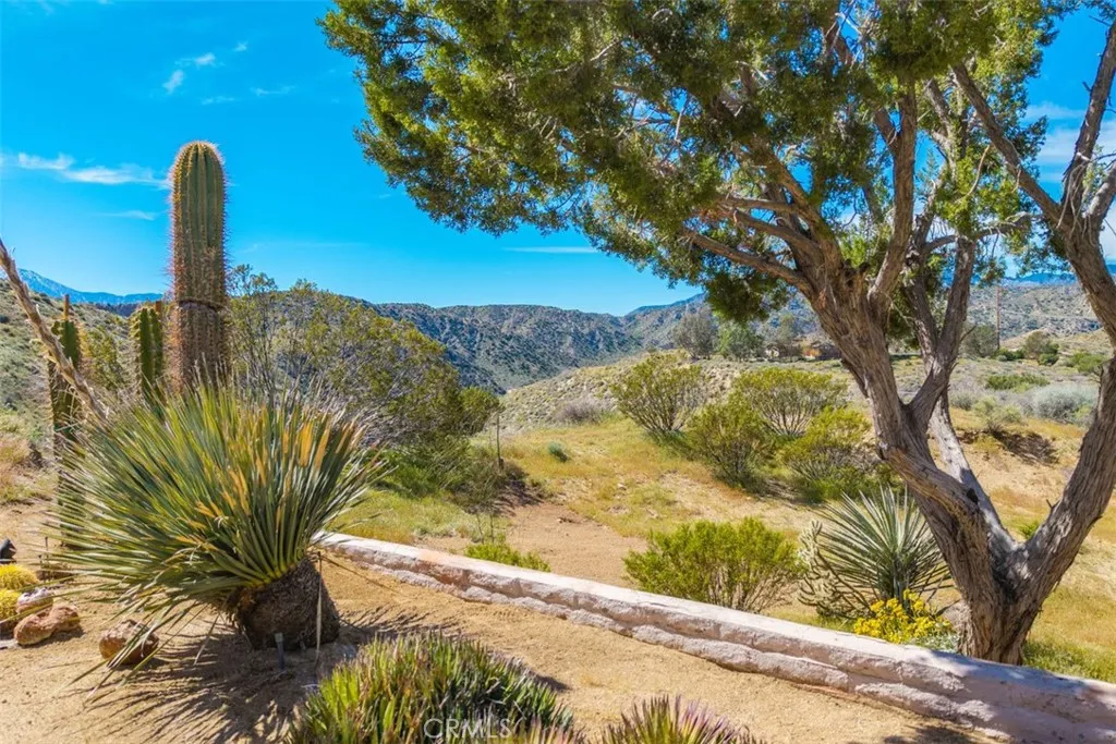 49399 Conejo, Morongo Valley, California 92256 home-pic-42