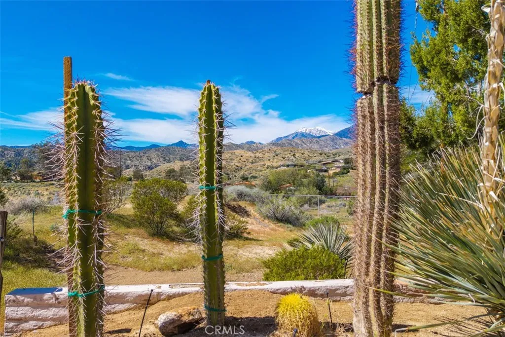 49399 Conejo, Morongo Valley, California 92256 home-pic-41