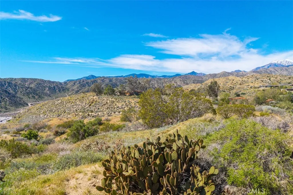49399 Conejo, Morongo Valley, California 92256 home-pic-44