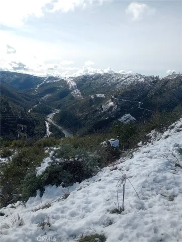 Winter view
